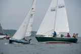 bluefin gbr2555c oystercatcher 3245c whyw16 tues 800 2792w